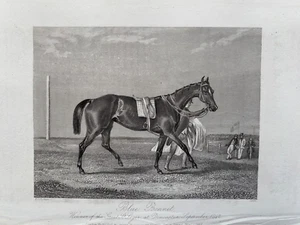 Estampado antiguo 1842; gorro azul, ganador de St Leger 1842 después de F.C. Turner - Imagen 1 de 2