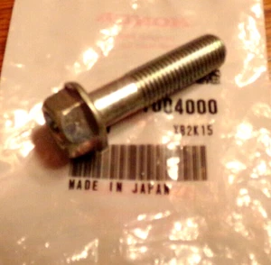 HONDA FOOTPEG, PERNO DE MONTAJE DE MARCO 96300-10040-00, ATC 350X, GL1800, CBR900RR - Imagen 1 de 1