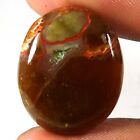 20.65Cts 100% Natural Fossil Colus Agate Oval Cabochon Loose Gemstone 23X19x06mm