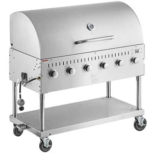 48" Stainless Steel Liquid Propane Outdoor Grill With Roll Dome - Picture 1 of 5