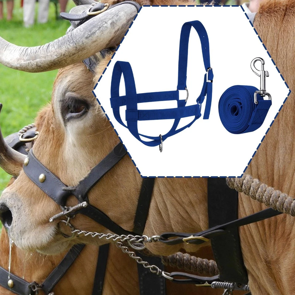 Halter de Vaca con Cuerda Líder Ganado Ternero Halter Exterior Granero Suministro Esencial Foto 1 de 1