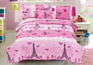 Pink Paris 4 Pcs Twin / Full Size Kids Boys Girls Quilt/ Shams/ Cushion Set -NEW - Picture 1 of 1