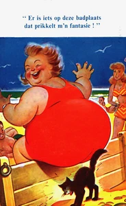 Funny Comic Cat Tickles Her Tail by a Woman Vintage Postcard B145 - Picture 1 of 2