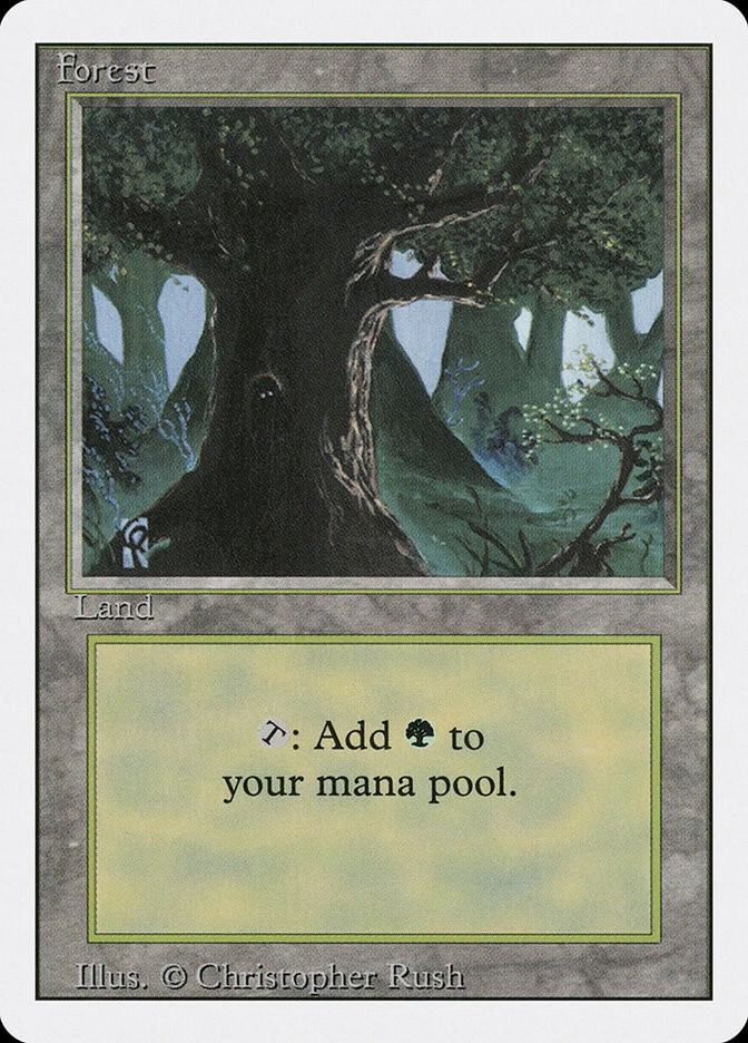 MTG Forest C  - 3rd Edition / Revised #306 - Image 1 of 1