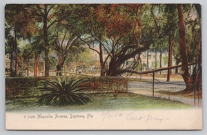 Postcard Vintage 1912 Magnolia Avenue in Daytona, FL. - Picture 1 of 2