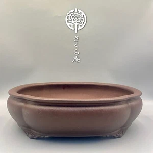 Olla Bonsai Japonesa "YAMAAKI 山秋" W:38 cm 15,0 pulgadas/L: 12,8 pulgadas/H: 3,9 pulgadas de JAPÓN #232 - Imagen 1 de 10
