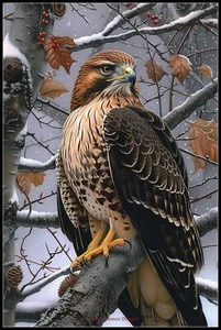 Lady Hawk 2 - Counted Cross Stitch Patterns - Color & BW Symbols - Picture 1 of 2