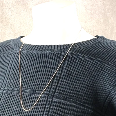 Minimalist Men's Snake Necklace Brass Plated Silver One Size - Image 1 of 4