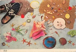 Muscheln mit schwarzen Turnschuhen Strand NC Vintage Postkarte - Bild 1 von 2