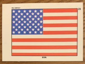 THE AMERICAN FLAG, RARE ! 1991 TOPPS DESERT STORM CARD, WOW ! - Picture 1 of 1