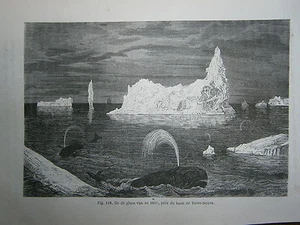 gravure 19° Ile de glace vue en 1857 prés du banc de Terre Neuve - Imagen 1 de 1