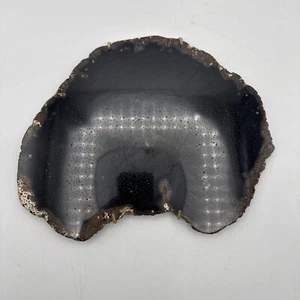Black Petrified Palm Wood slab from Texas - Picture 1 of 24