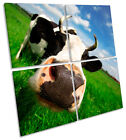 Funky Cow Face  Multi Canvas Wall Art Square Picture