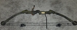 VINTAGE BEAR Whitetail II Compound Bow - Picture 1 of 6