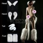 White Fox Tail Furry Ears Plug Romance Game cuffs Cosplay Funny Love Aids