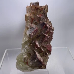 Fluorit xx Chalcopyrit xx Deutschland - Fluorite xx Chalcopyrite xx Germany - Picture 1 of 12