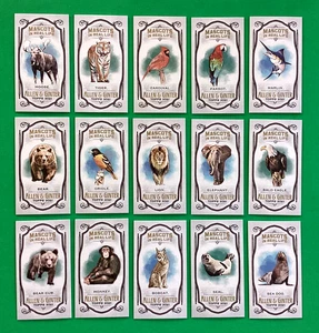 2021 Topps ALLEN GINTER MINI COMPLETE SET of  MASCOTS .22 cards . TIGER , ORIOLE - Picture 1 of 2
