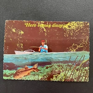 VTG Comical fishing Here comes Dinner!  Ozzie Sweet Photo Postcard Unposted - Picture 1 of 2
