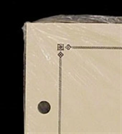 Scott Blank Pages Border C (Internacional) ACC 130 Nuevo Pack de 20 Hojas Foto 1 de 1