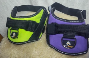 DOGGY KINGDOM HUNDEGESCHIRR 2ER SET GRÖSSE MEDIUM 1 LINDGRÜN 1 LILA - SCHÖN - Bild 1 von 19