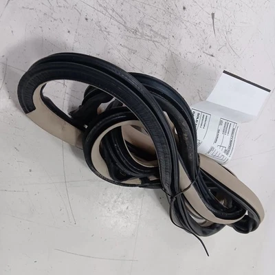 Nissan Máxima en carrocería puerta jamba sello trasero derecho pasajero trasero 2014 2013 2012 11 Foto 1 de 4