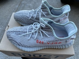 zebra blue tint