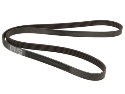 For 2014-2016 BMW 535d xDrive Multi Rib Belt 87628XMWB 2015 - Image 1 of 2