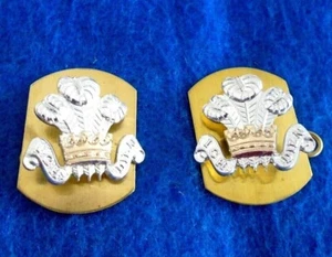 PAIR OF ROYAL HUSSARS ANODISED GOLD/SILVER COLLAR BADGES + PLATES & PINS - Picture 1 of 2