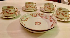 Antique Lot of 10 Pc Czechoslavokian Fine Procelain China In Bridal Rose Pattern - Picture 1 of 12