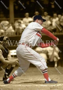 DQ5 Stan Musial St Louis Cardinals 8x10 11x14 16x20 Spotlight Photo - Picture 1 of 1