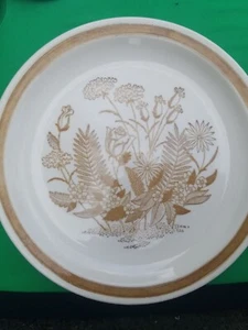 Jamestown china Ironstone Brown wild Flowers. 3 Plates 10 1/4 Inch and 5 plates7 - Picture 1 of 9