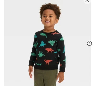 Cat & Jack Boys Dinosaur Sweatshirt Black Long Sleeve Pullover 4T NWT - Image 1 of 4