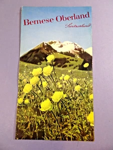Vintage Bernese Oberland Switzerland Mountain Range FOLDOUT MAP 1930's Climbing - Picture 1 of 4