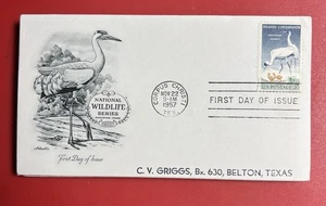 UNITED STATES 17 FDCs FROM THE 1950s VARIOUS CACHETS - Picture 1 of 17