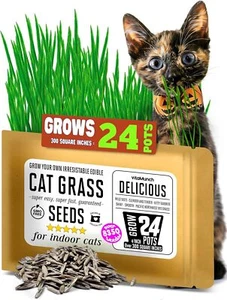 CAT Grass Seeds | Grow *24* Pots of ⅓ Cup Ryegrass GRASS, Green - Picture 1 of 4