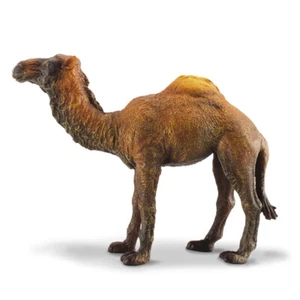 CollectA Dromedary Camel - Picture 1 of 1