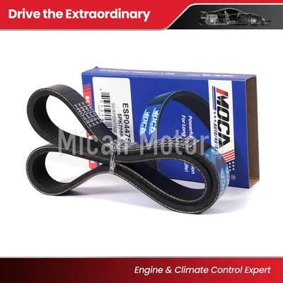 Accessory Drive Belt  5PK705F for 12-13 Ford Focus 2.0L-L4 New Foto 1 de 4