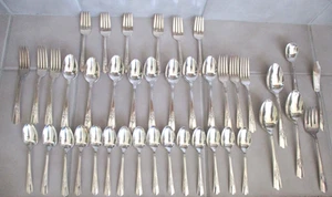 40 Pc. Lot Vintage Wallace Harmony House Maytime Silver Plate Flatware Misc Set - Picture 1 of 5
