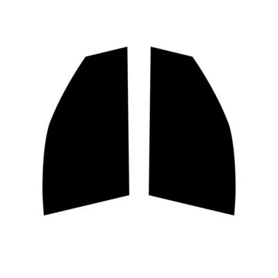 Tinte de ventana de coche precortado para Smart Forfour 2014+ película de tinte para ventanas delanteras de coche Foto 1 de 4