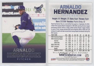 2018 Choice Wilmington Blue Rocks Arnaldo Hernandez #17
