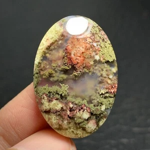 Scenic Moss Plume Agate Cabochon 28x19.5x5mm High Quality 22 ct - Picture 1 of 7