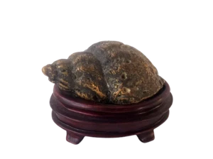 Antique Chinese Solid Bronze Conch Shell Sculpture w/ Base - Picture 1 of 9