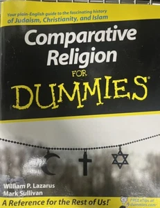 COMPARATIVE RELIGION FOR DUMMIES 2008 SC BOOK - Picture 1 of 2