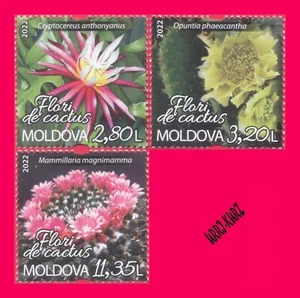 Plantas de flora natural Moldavia 2022 flores de cactus 3 V montada sin montar o nunca montada - Imagen 1 de 1