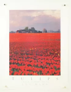 LEE MANN Tulipanes bajo cielos tormentosos ~ precioso póster impreso fotográfico vintage 18x24" - Imagen 1 de 9