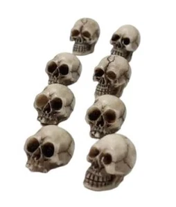 Miniature Dollhouse Fairy Garden Halloween Skulls - Set of 8 - Buy 3 Save $5 - Picture 1 of 1