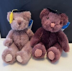 Vintage Graduation Gang Bears - Russ -2 Colors - With Beans