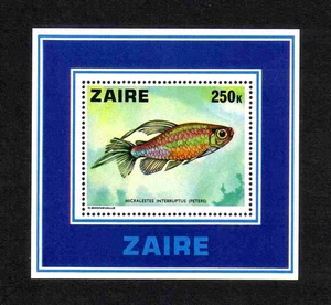 Zaire 1978 Fishes/ Congo Tetra 1v. miniature sheet (SG MS914) MNH - Picture 1 of 1