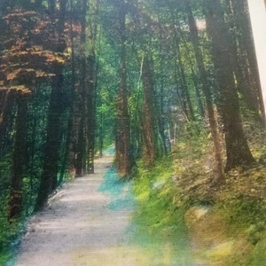 Mt. Gretna Path To The Lake Pennsylvania Postkarte gestempelt 1938 - Bild 1 von 4