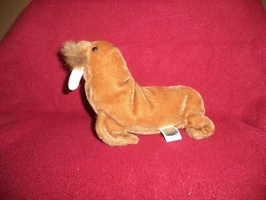 TY Beanie Baby "PAUL the Walrus" 1999 with TY Tag missing - Picture 1 of 4
